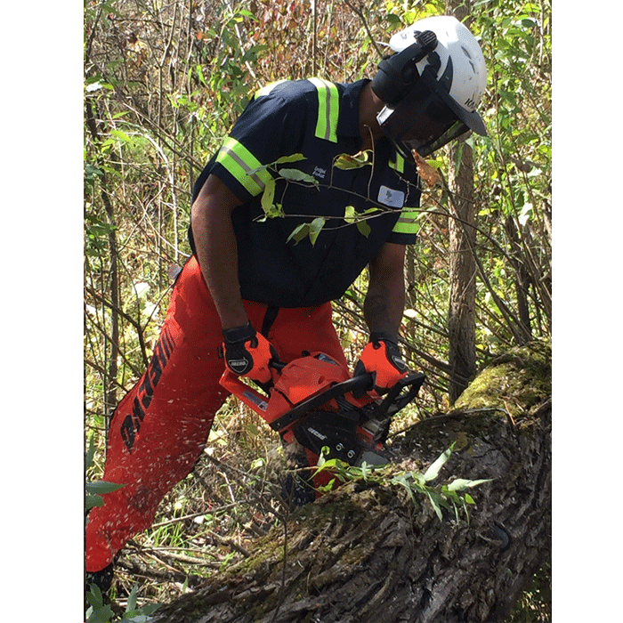 ECHO CS-4510ES Benzin Kettensäge- 2,3kW – 4