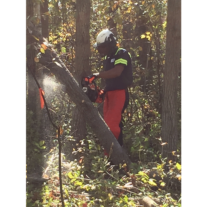 ECHO CS-4510ES Benzin Kettensäge- 2,3kW – 5