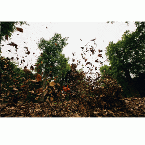 ECHO PB-2520 Benzin Laubbläser - 0,90kW – Bild 8