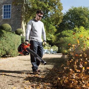 ECHO DPB 600 C4 Akku Laubbläser - 50,4V – Bild 4