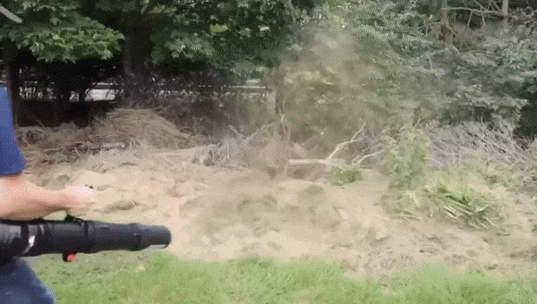 ECHO PB-9010T Laubbläser GIF1