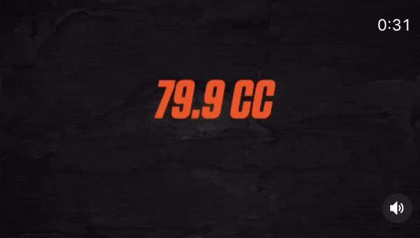 ECHO PB-9010T Laubbläser GIF2