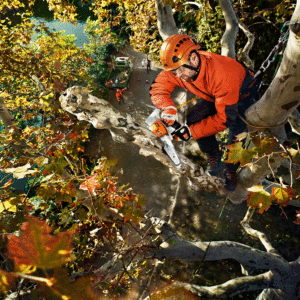 Stihl MSA 161 T Akku Kettensäge 36V BODY - 25/30cm – Bild 3