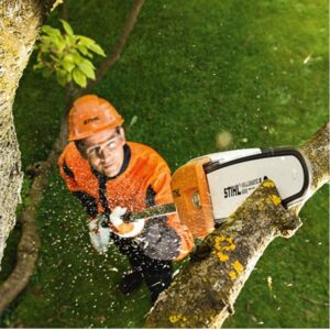 Stihl HTA 66 Akku Hochentaster 36V BODY – Bild 3
