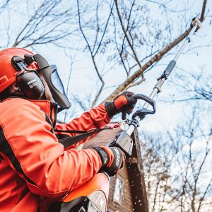 ECHO DPAS 2600 Akku Multitool BODY - 56V – Bild 4