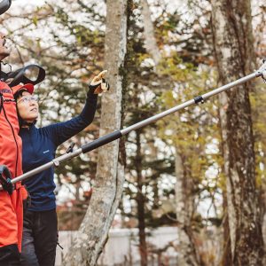 ECHO DPAS 2600 Akku Multitool BODY - 56V – Bild 6