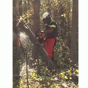 ECHO CS 4510ES NC Benzin Kettensäge - 2,3kW – Bild 8