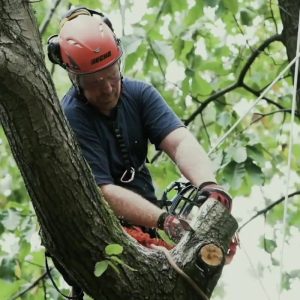 ECHO DCS 2500TC NC Akku Kettensäge - 1,2kW – Bild 4