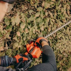 ECHO DHC 310 Akku Heckenschere BODY - 40 V – Bild 6