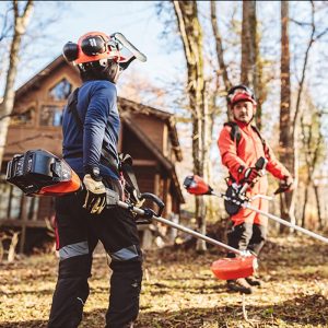 ECHO DSRM 2600L Akku Freischneider BODY - 50,4V – Bild 4