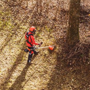 ECHO DSRM 2600U Akku Freischneider BODY - 50,4V – Bild 7